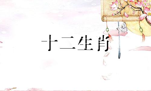 1987兔女和1988龙男二婚相配吗