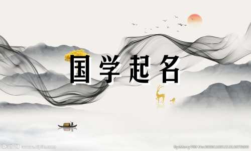 给蛇宝宝起名字大全免费取名