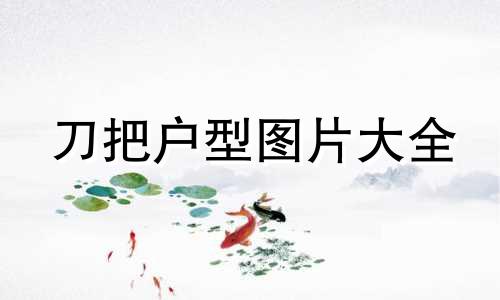 刀把户型图片大全 卧室刀把户型如何解决