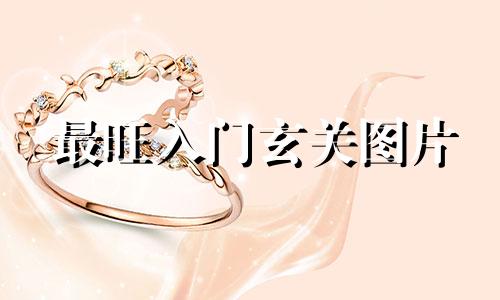 最旺入门玄关图片 玄关怎么装修才能聚财呢