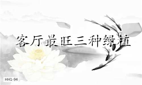 客厅最旺三种绿植 客厅的财位放什么花最招财