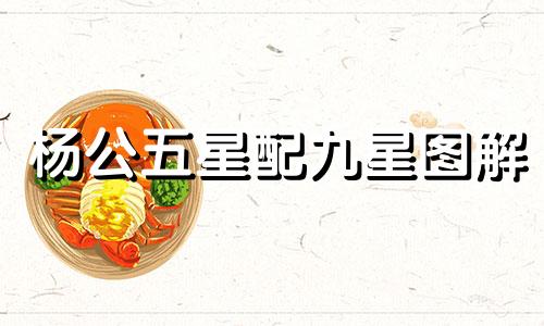杨公五星配九星图解 杨公五行口诀