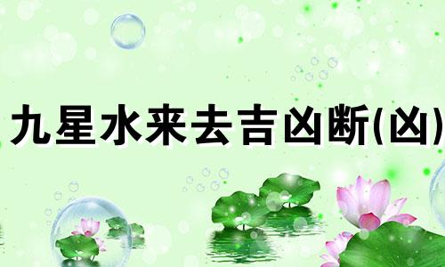 九星水来去吉凶断(凶) 九星水法来去水