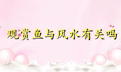 观赏鱼与风水有关吗 观赏鱼风水讲解