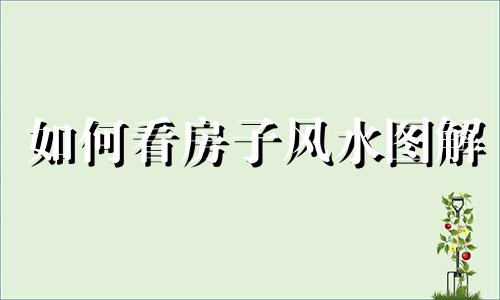 如何看房子风水图解 如何看房子风水朝向