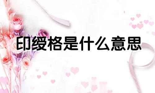 印绶格是什么意思 印绶格用食伤泄秀