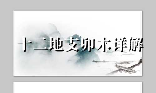 十二地支卯木详解 十二地支卯兔