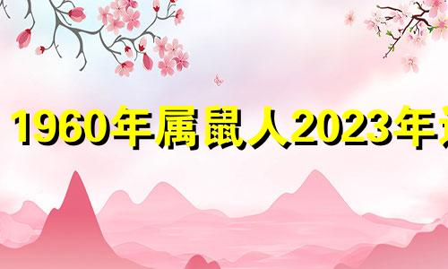 1960年属鼠人2023年运势 1960年鼠人在2020年每月运程