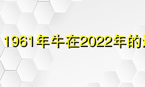 1961年牛在2022年的运势 61年属牛2023年的运程