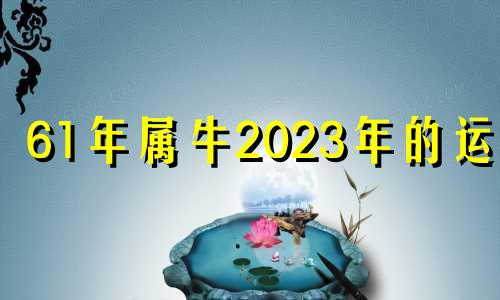 61年属牛2023年的运程 1961年属牛人在2020年每月运势