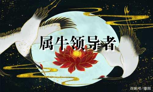属牛领导者 属牛的最佳领导和下属