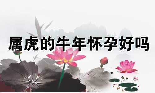 属虎的牛年怀孕好吗 属虎的在牛年2023年运势如何