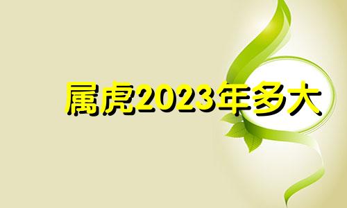 属虎2023年多大 202几年属虎
