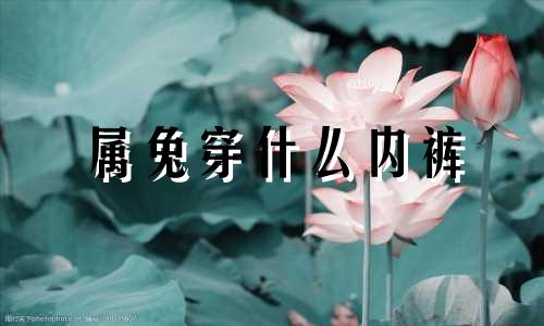 属兔穿什么内裤 2023年属兔本命年穿什么颜色的
