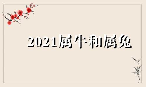 2021属牛和属兔 属牛和属兔2022结婚