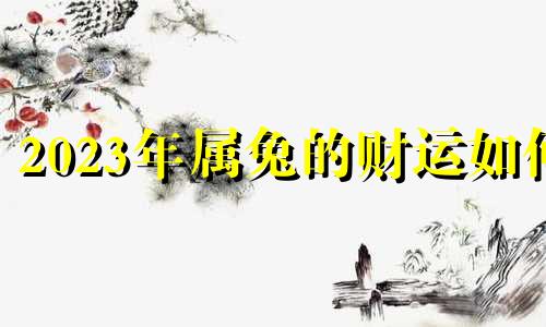 2023年属兔的财运如何 2023年兔人的全年运势如何