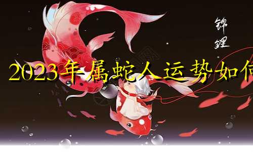 2023年属蛇人运势如何 2023年属蛇人运势怎么样