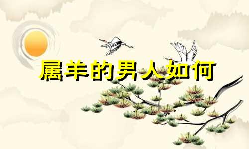 属羊的男人如何 生肖属羊男
