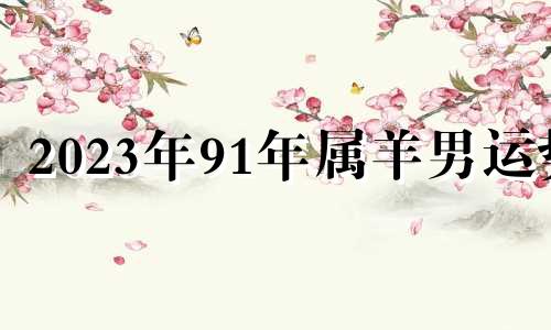 2023年91年属羊男运势 91年羊2023年运势及运程每月运程