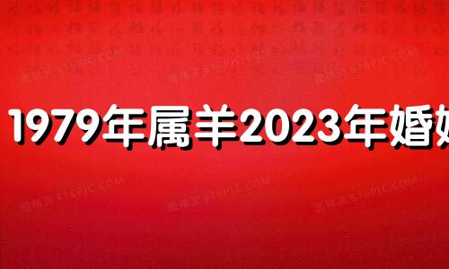 1979年属羊2023年婚姻运 1979年属羊2023年运势每月运势