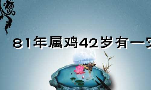 81年属鸡42岁有一灾 属鸡的2023年是犯太岁吗为什么