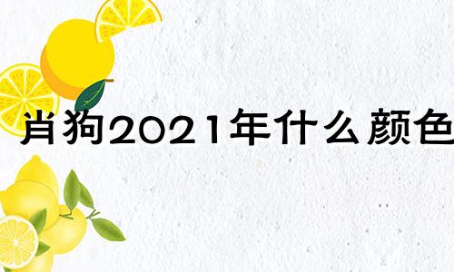 肖狗2021年什么颜色好 属狗2020哪个颜色最旺财