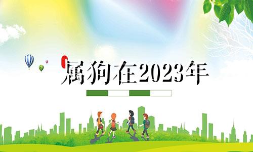 属狗在2023年 属狗的2023年适合结婚吗