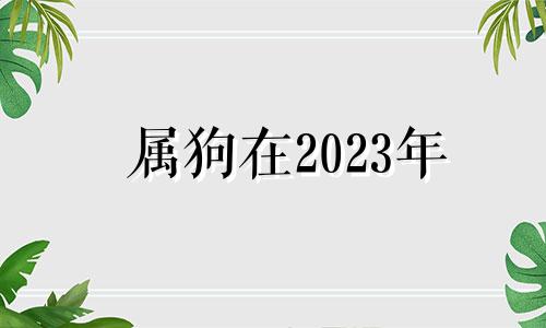 属狗在2023年 生肖狗在2023年的运势以及注意月份