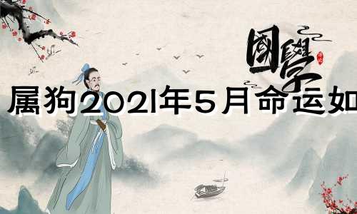 属狗202l年5月命运如何 2023年属狗的是什么命