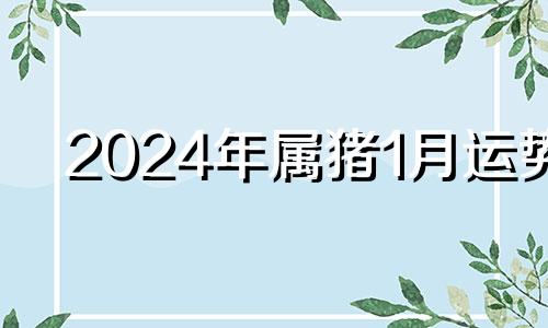 2024年属猪1月运势 2024年猪人财运