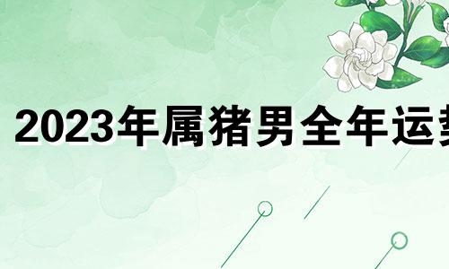 2023年属猪男全年运势 2023年属猪人运程怎样