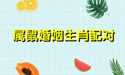 属鼠婚姻生肖配对 属鼠的婚姻最佳搭配