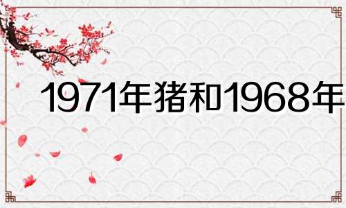 1971年猪和1968年猴 71年猪与68年猴的婚姻