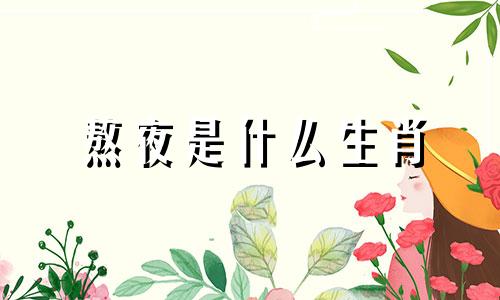 熬夜是什么生肖 熬夜属于什么