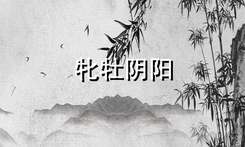 牝牡阴阳 