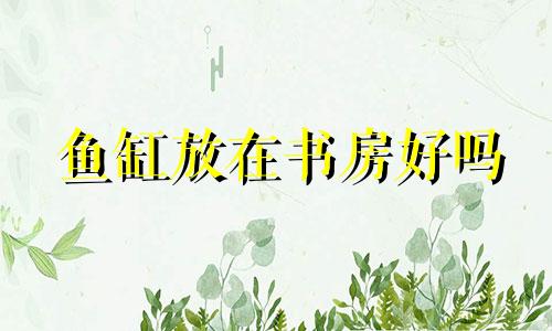 鱼缸放在书房好吗 鱼缸在书房的最佳位置