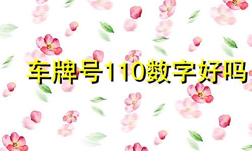 车牌号110数字好吗 110车牌号是吉还是凶