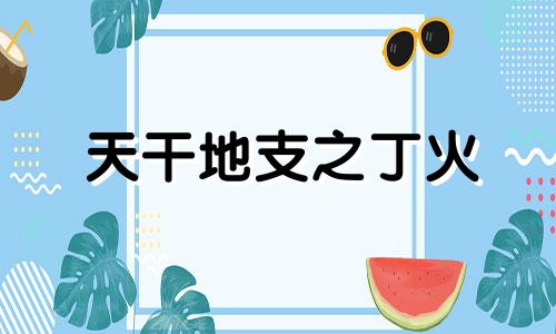 天干地支之丁火 天干丁火喜忌