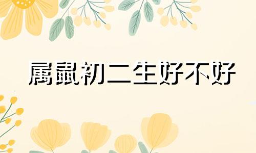 属鼠初二生好不好 鼠宝宝初二出生好不好