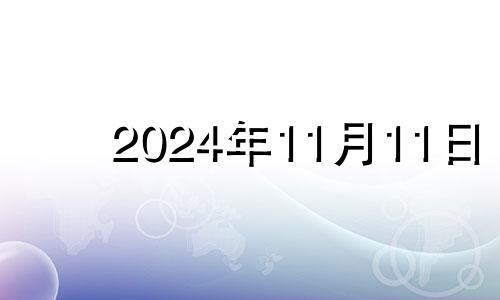 2024年11月11日 2024年11月24日