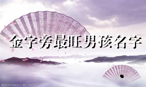 金字旁最旺男孩名字 带金字旁的男孩子的名字大全三个字