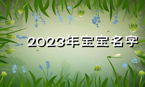 2023年宝宝名字 2023兔宝宝名字