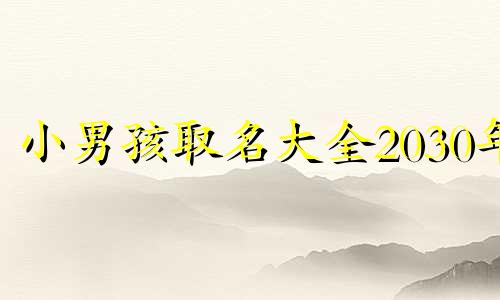 小男孩取名大全2030年 小男孩取名大全免费