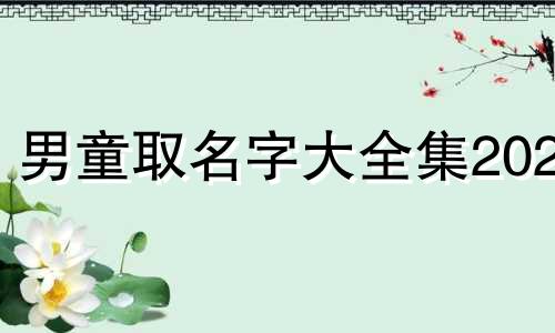 男童取名字大全集2023 男童取名字大全集2019