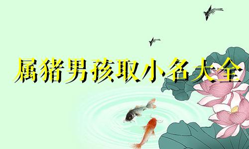 属猪男孩取小名大全 属猪的男孩适合的小名霸气点的