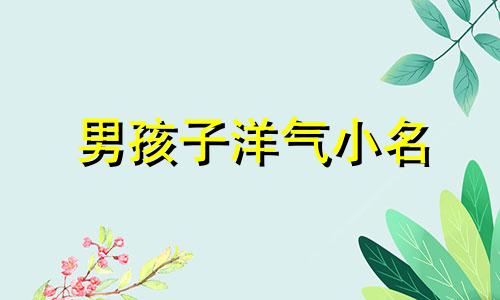 男孩子洋气小名 男孩洋气小名大全2019