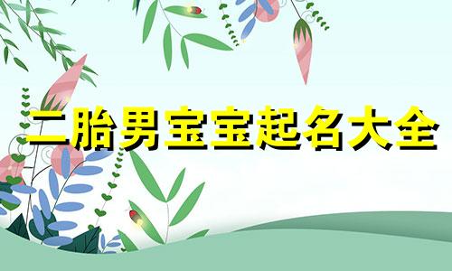 二胎男宝宝起名大全 二胎男孩起名
