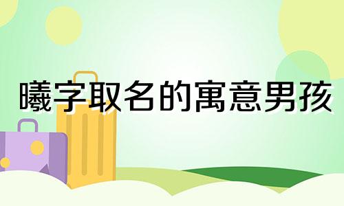 曦字取名的寓意男孩 曦字取名的寓意女孩牛年