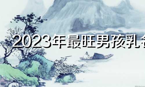 2023年最旺男孩乳名 兔年男孩小名