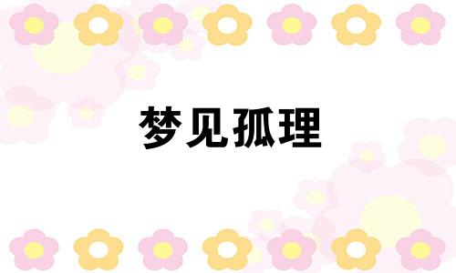 梦见孤理 梦见孤岛
